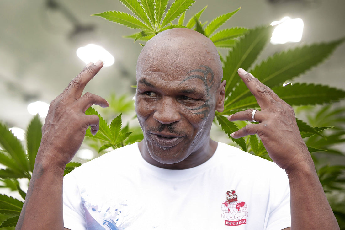 5 Elite Athletes Who Use CBD for Recovery and Wellness